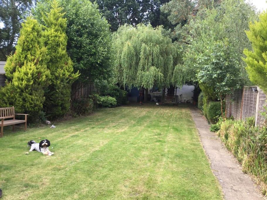 The Studio, Ascot Winkfield Luaran gambar